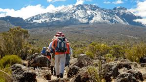 Package Kilimanjaro